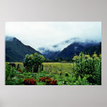Garden, Golden Bay Area, South Island Posters