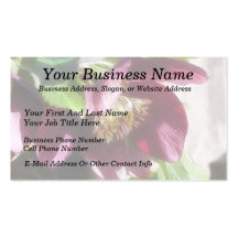 Garden Hellebore In Spring Sunshine Business Card