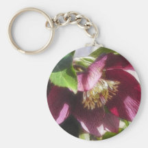 Garden Hellebore In Spring Sunshine Key Chains