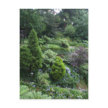 Garden II Postcard