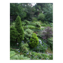 Garden II Postcard