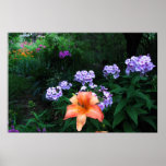 Garden in Light and Shadow Poster