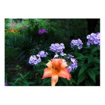 Garden in Light & Shadow ATC Business Card Template