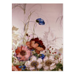 Garden of Eden Post Card