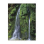 Garden of Eden Postcard