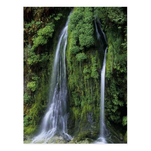 Garden of Eden Postcard