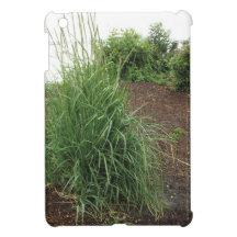 Garden of the Beach iPad Mini Cases