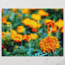 Garden of zinnias full color flyer