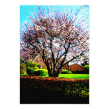 Garden Party Invitaion Card