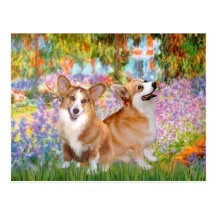 Garden - Pembroke Welsh Corgis (two) Post Card