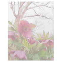 Garden Scene - Hellebores And Old Oak Custom Letterhead