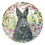 Garden Scottie