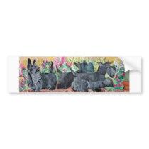 Garden Scottish Terriers Bumper Stickers