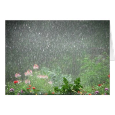 Garden Showers Card by Bebops