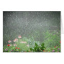 Garden Showers cards