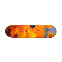 Garden Skateboard