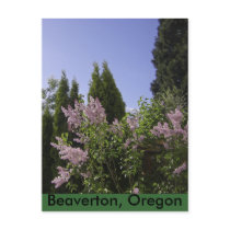 Garden Sky View in Beaverton, Oregon Postcard