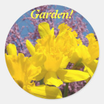 Garden! stickers Yellow Daffodil Flowers Spring