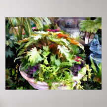 Garden Urn - A Salad Bowl of Summer Plants Poster