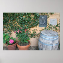 Garden Wall Poster