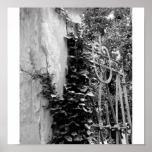 Garden wall with ivy print