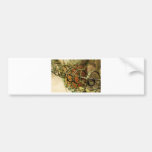 Garden Wire Basket Bumper Stickers