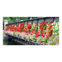 gardenbridge01 photocarte