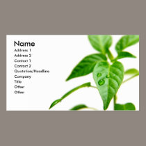 Gardener Bsiness Card business cards
