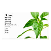 Gardener Bsiness Card Business Card