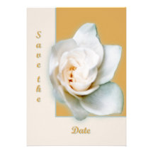 Gardenia Announcement