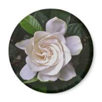 Gardenia Refrigerator Magnet