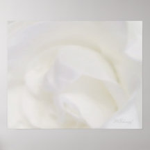 Gardenia Poster
