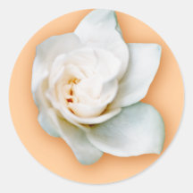 Gardenia Stickers