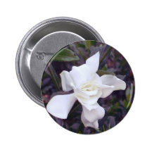 Gardenia tints pinback button