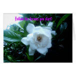 gardenias 001, Follow the dreams you start! Cards