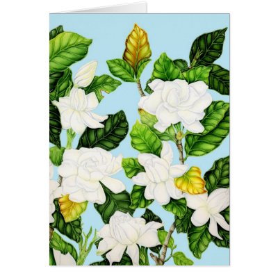 Gardenias with Blue Sky Card by joeyartist