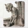 Gargoyle 2 mouse pads
