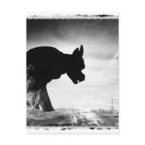 GARGOYLE NOTRE DAME PARIS FRANCE POST CARD
