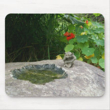 Gargoyles Mousepad