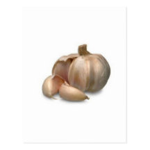 Garlic bulb post card