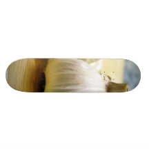 Garlic Cloves Still Life Skate Board Decks