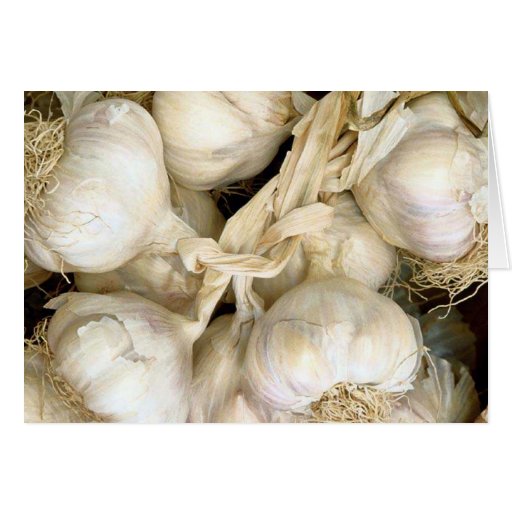 Garlic Greeting Cards