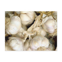 Garlic Post Card