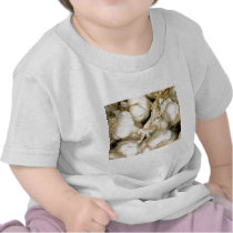 Garlic T-shirts