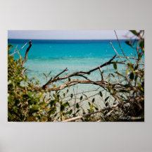 Garrigue Print