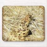 Garter Snake Mouse Pads