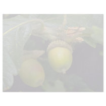 Gary oak tree fruit (quercus garryana) custom letterhead