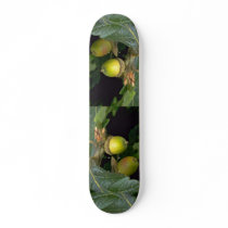 Gary oak tree fruit (quercus garryana) skateboard deck