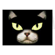 Gary the Cat Cards