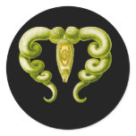 Gasterostomum Round Sticker